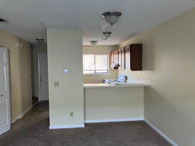 Gallery Photo 1